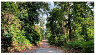 Forests 14 00669 i004