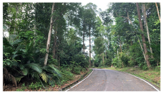 Forests 14 00669 i006