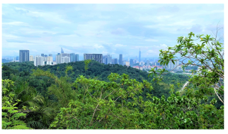 Forests 14 00669 i009