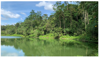 Forests 14 00669 i010