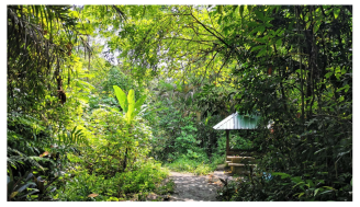 Forests 14 00669 i012