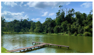 Forests 14 00669 i014