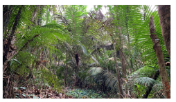 Forests 14 00669 i017