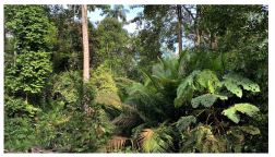 Forests 14 00669 i020