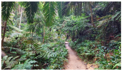 Forests 14 00669 i023