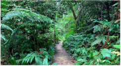 Forests 14 00669 i028