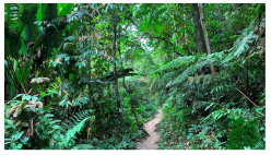 Forests 14 00669 i029