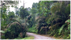 Forests 14 00669 i030