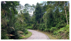 Forests 14 00669 i032