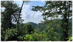 Forests 14 00669 i036