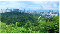 Forests 14 00669 i039