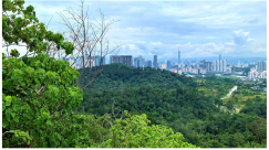 Forests 14 00669 i040