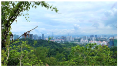 Forests 14 00669 i041