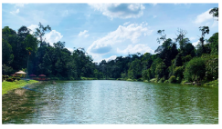 Forests 14 00669 i042