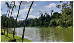 Forests 14 00669 i044