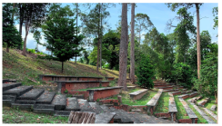 Forests 14 00669 i048