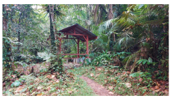 Forests 14 00669 i050