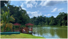 Forests 14 00669 i054