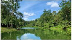 Forests 14 00669 i055