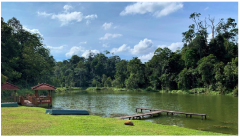 Forests 14 00669 i056