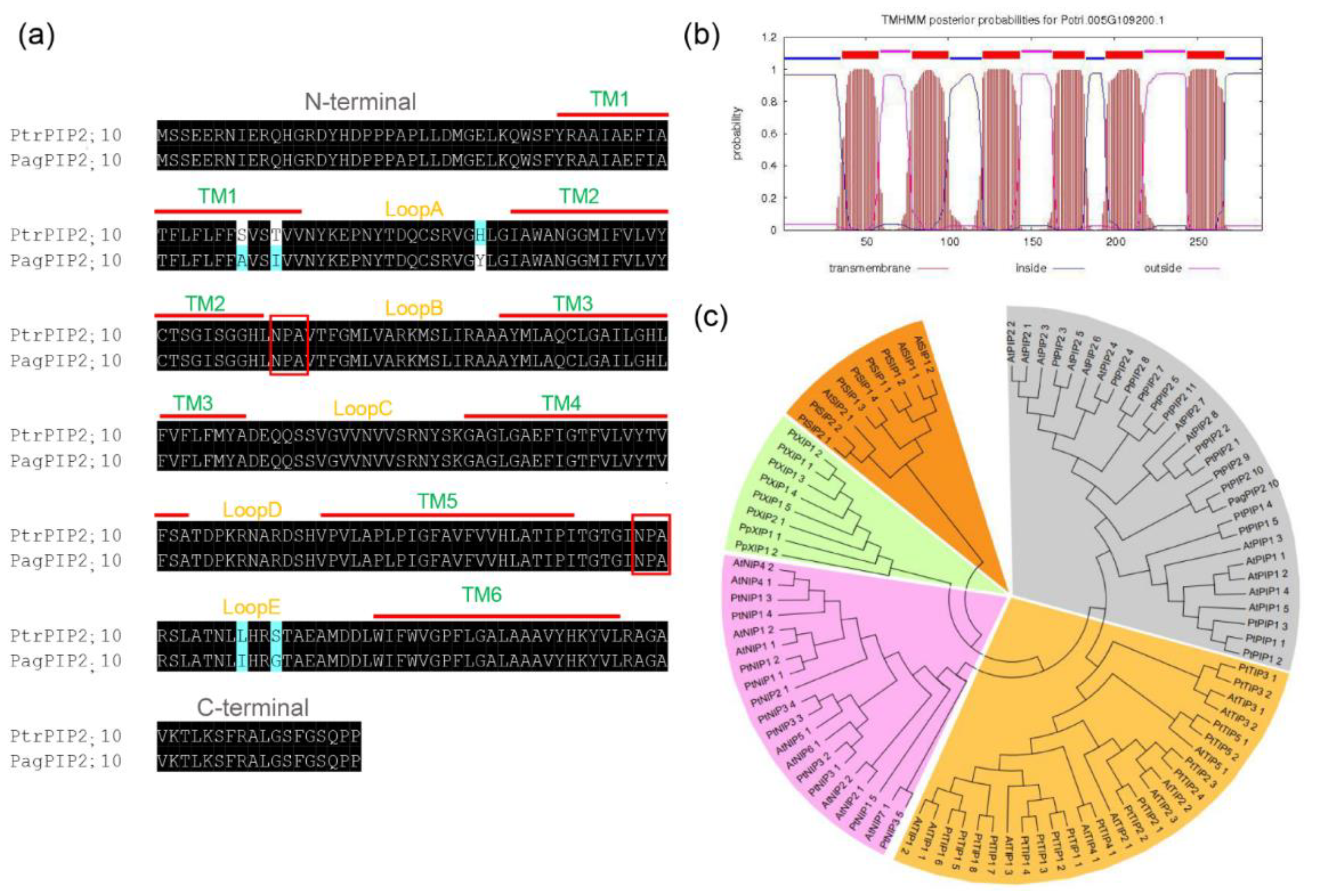 Forests 14 00696 g001