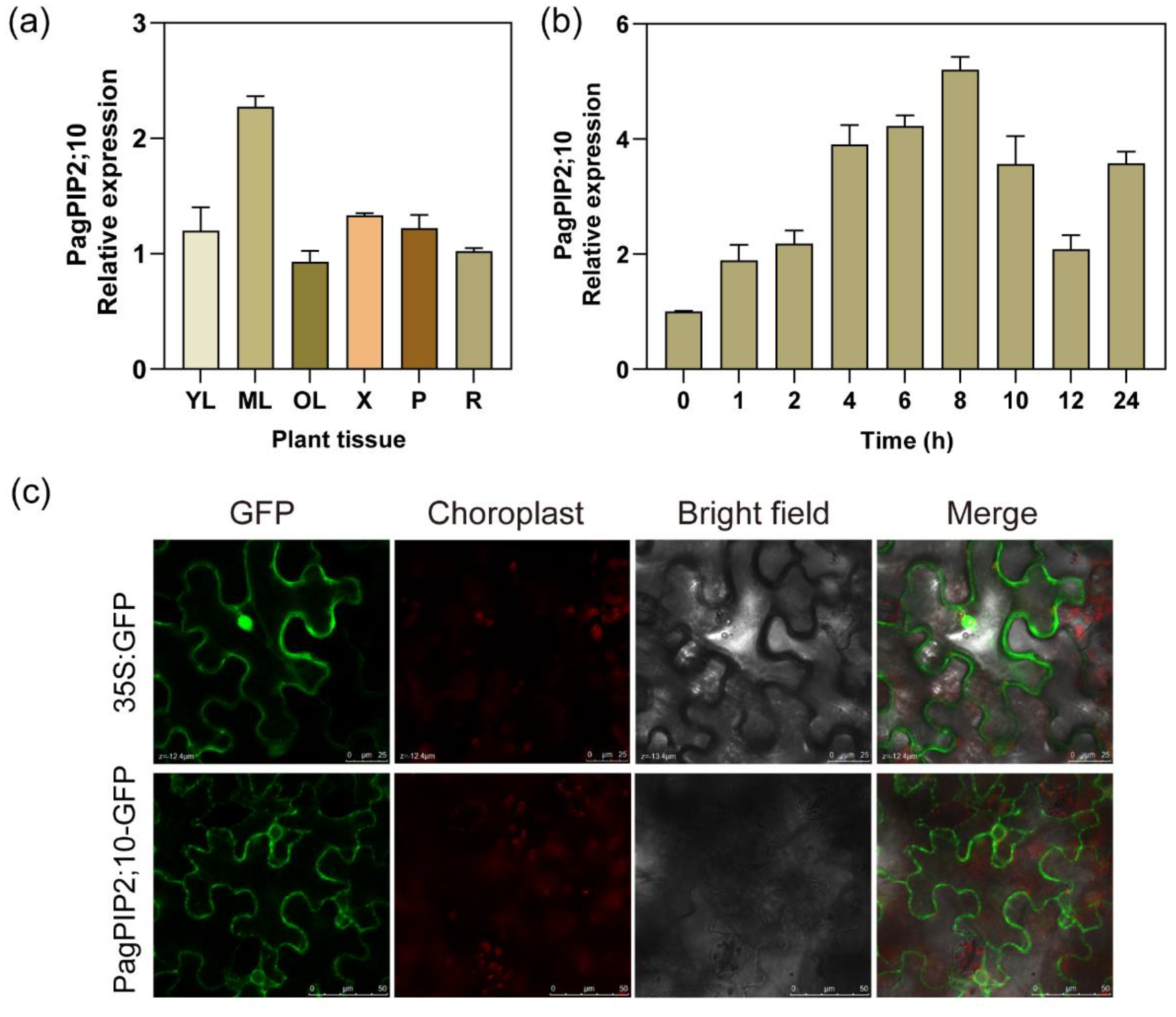 Forests 14 00696 g002