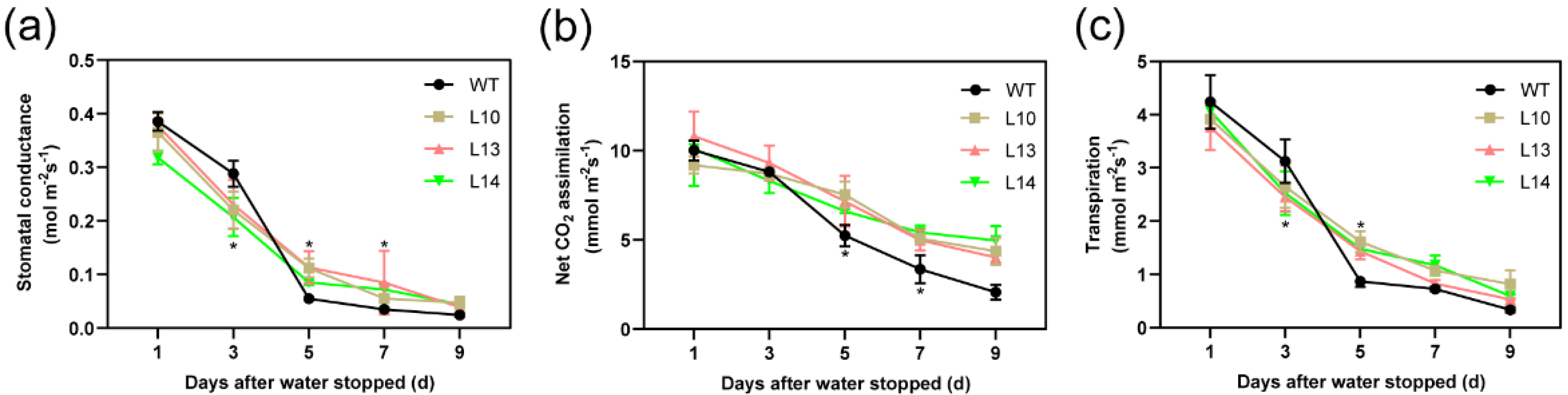Forests 14 00696 g004