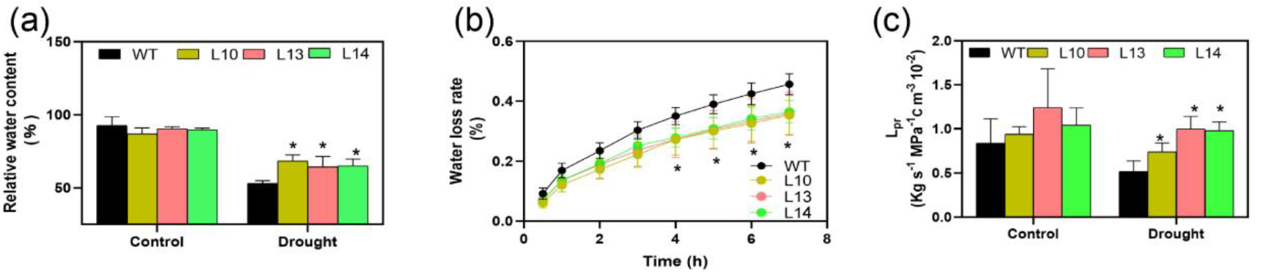 Forests 14 00696 g005