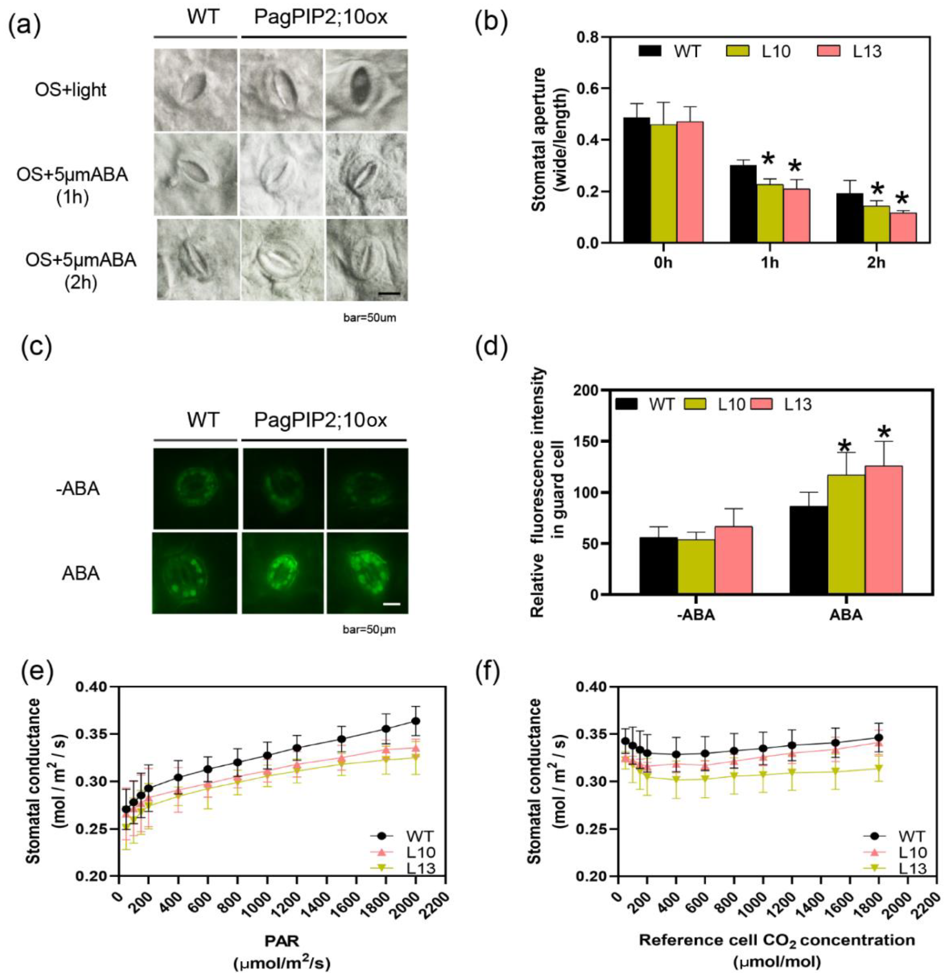 Forests 14 00696 g006