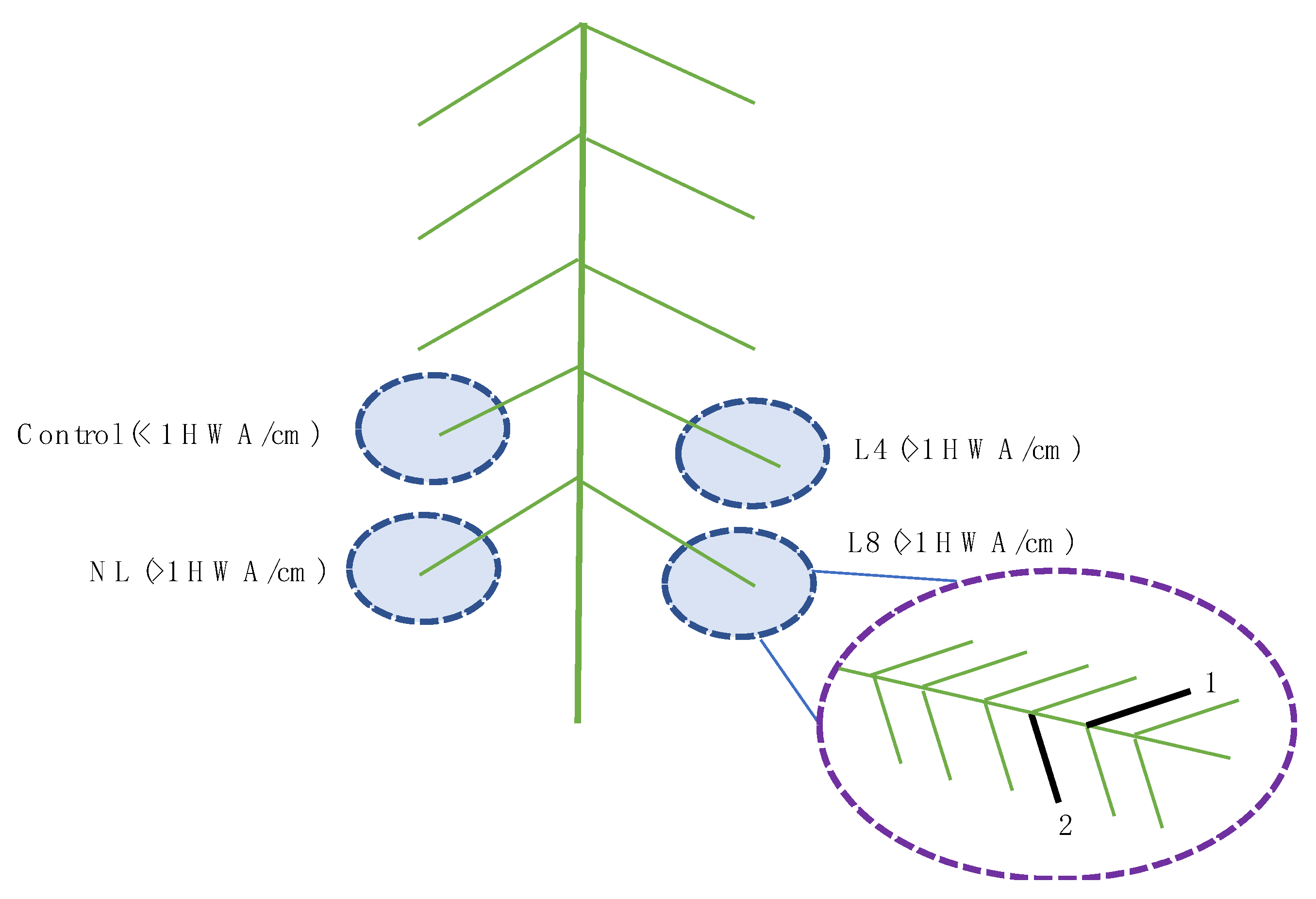 Forests 14 00698 g001