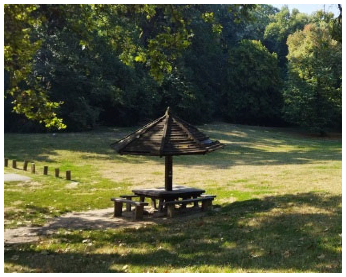 Forests 14 00700 g002 Forests 14 00700 g002