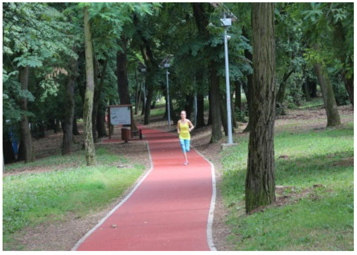 Forests 14 00700 g003 Forests 14 00700 g003