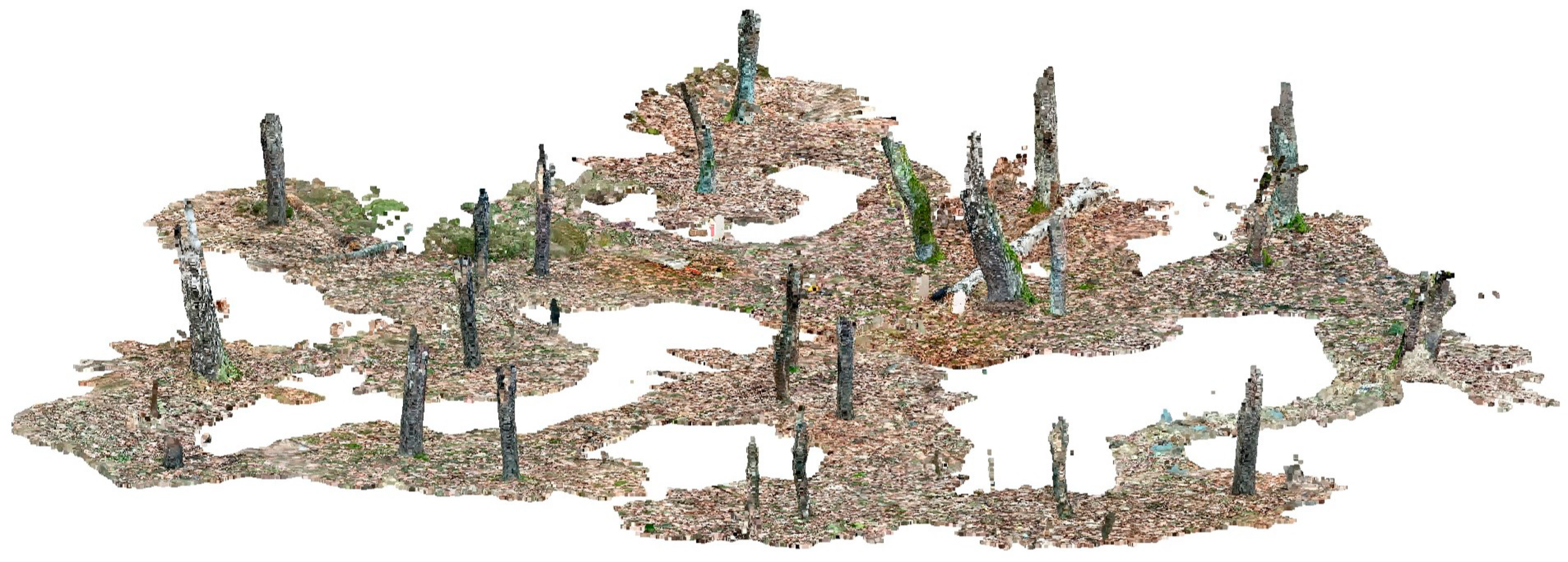 Forests 14 00706 g002