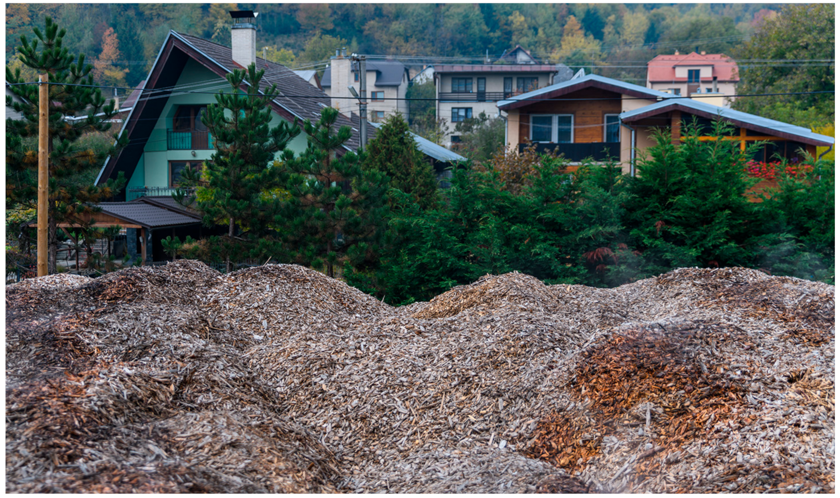 Forests 14 00707 g001