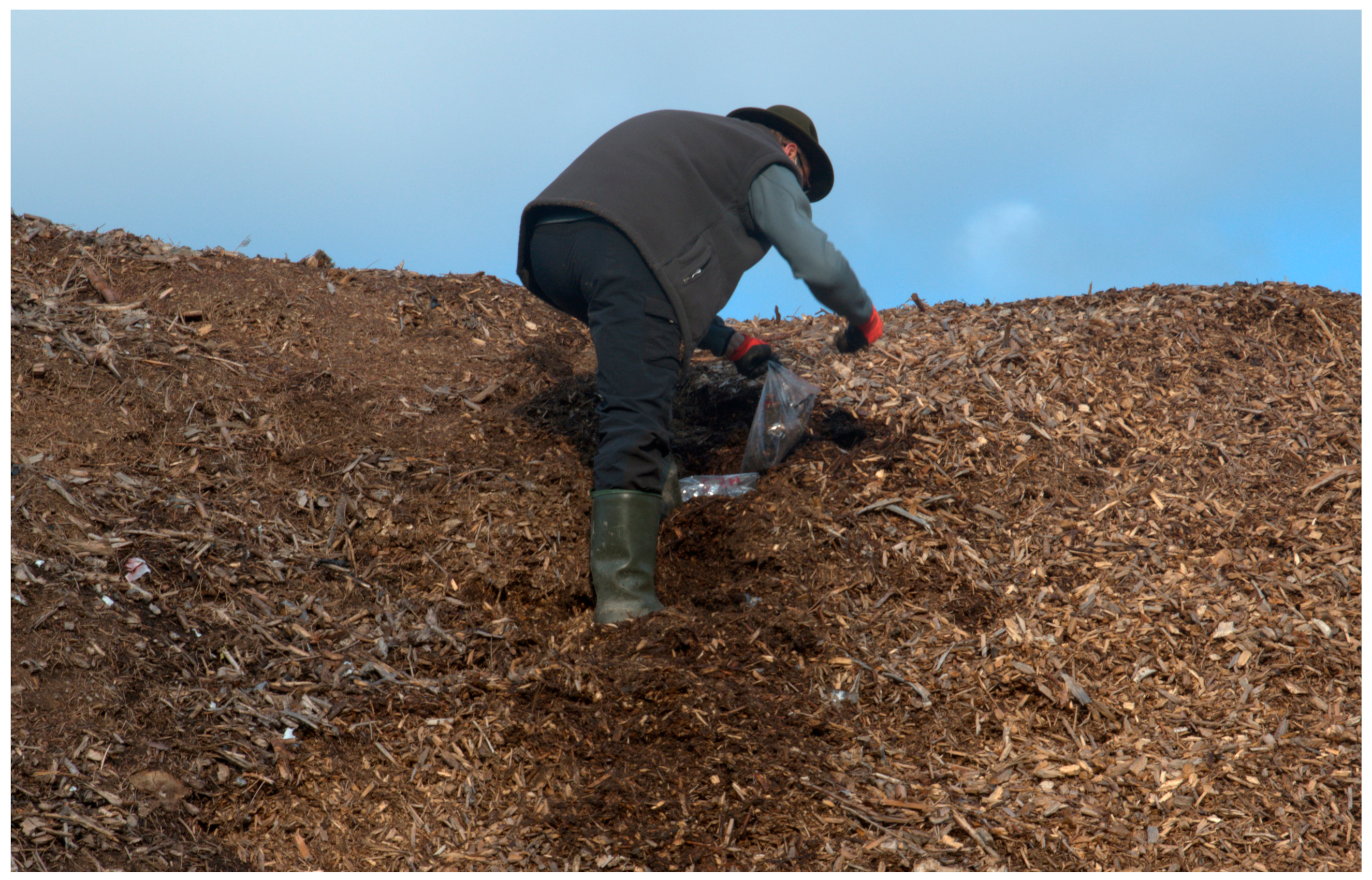 Forests 14 00707 g002