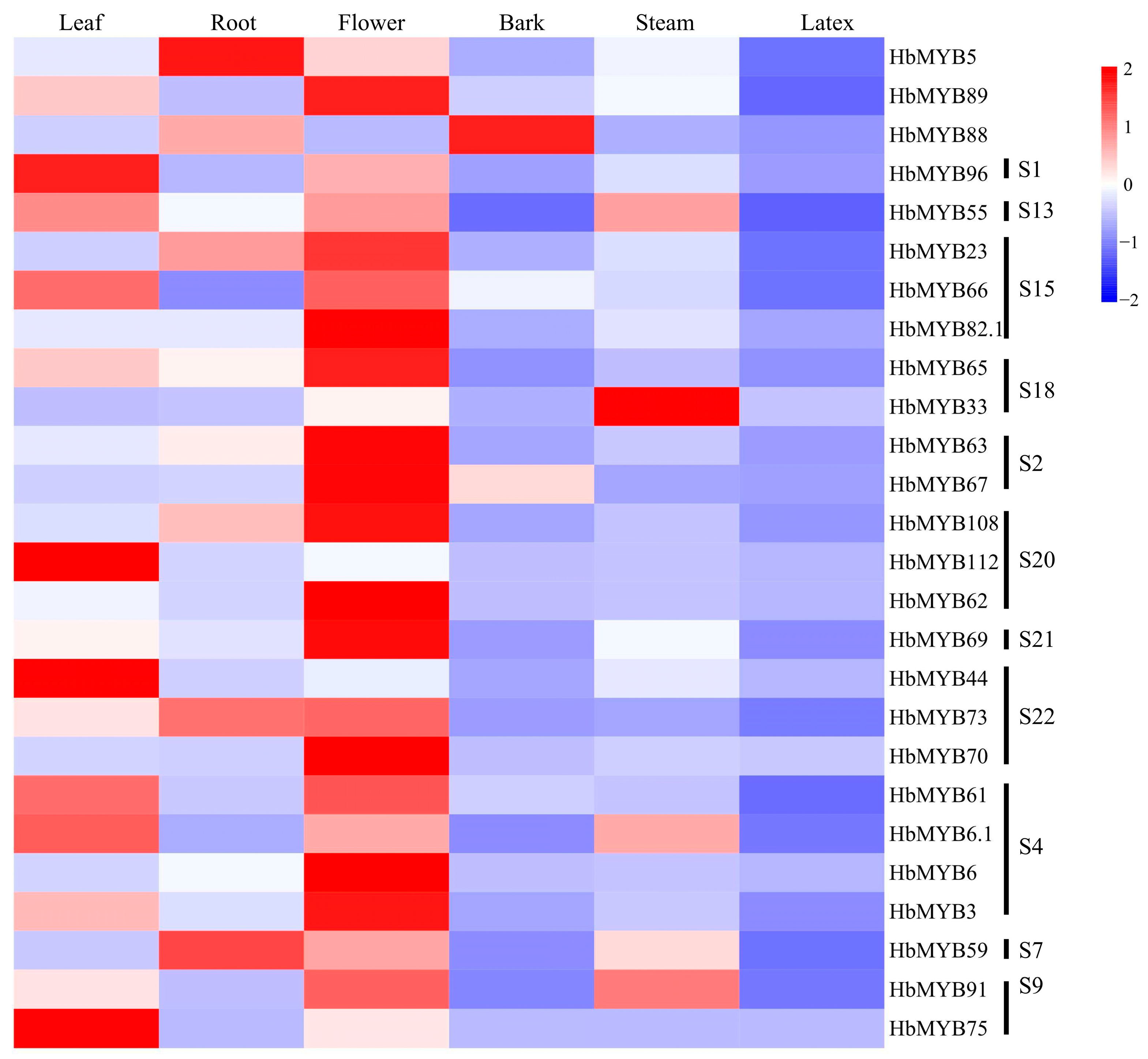 Forests 14 00710 g005