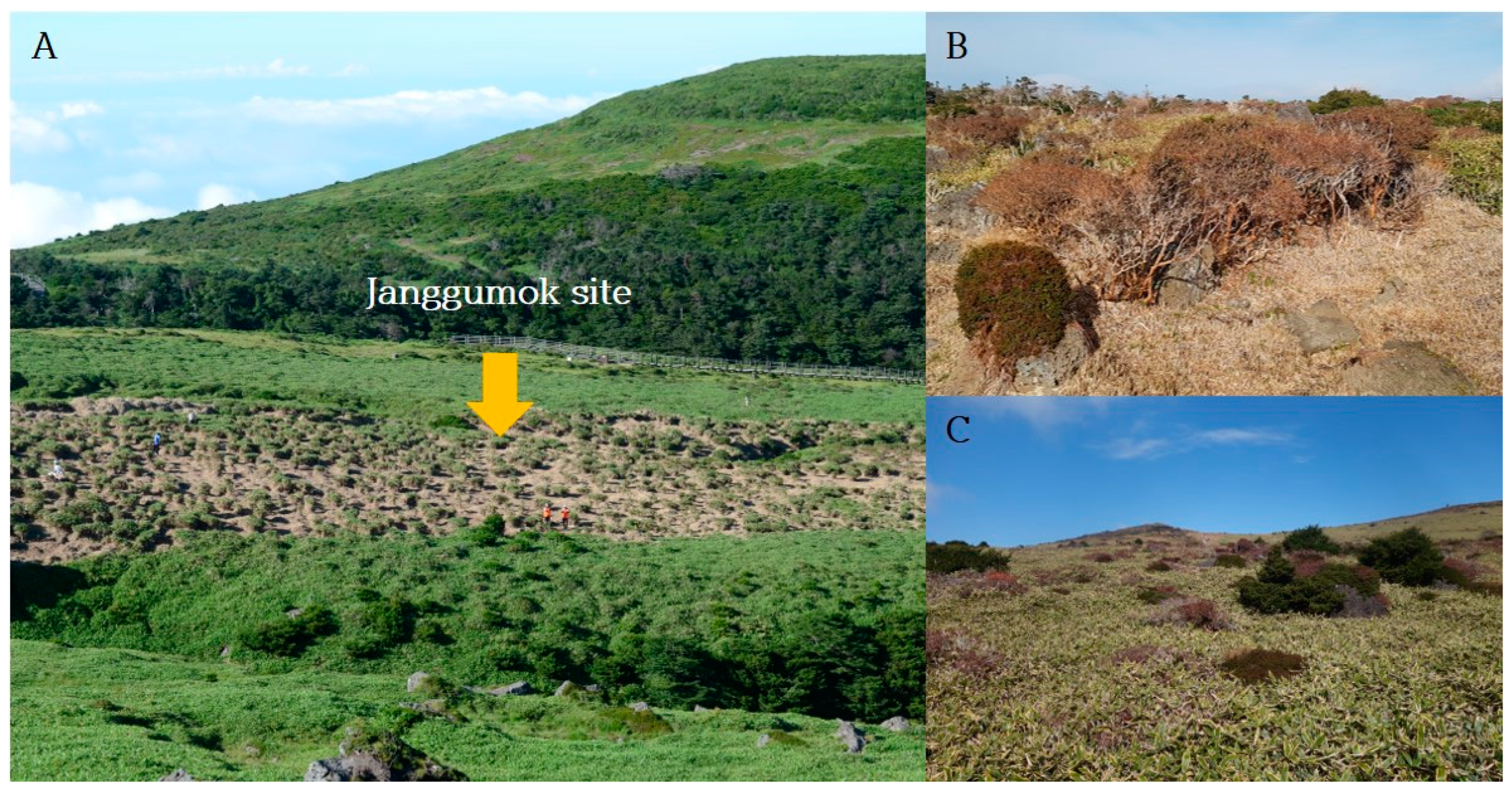 Forests 14 00716 g001