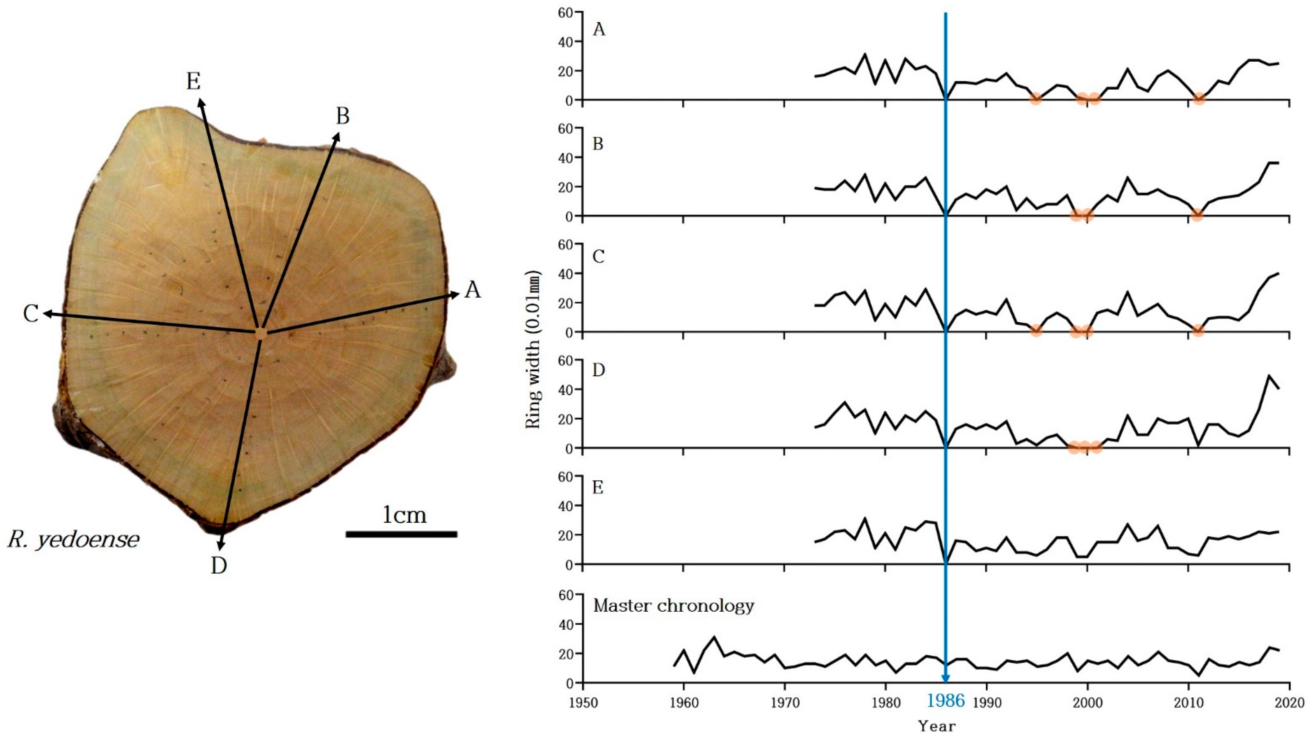 Forests 14 00716 g003