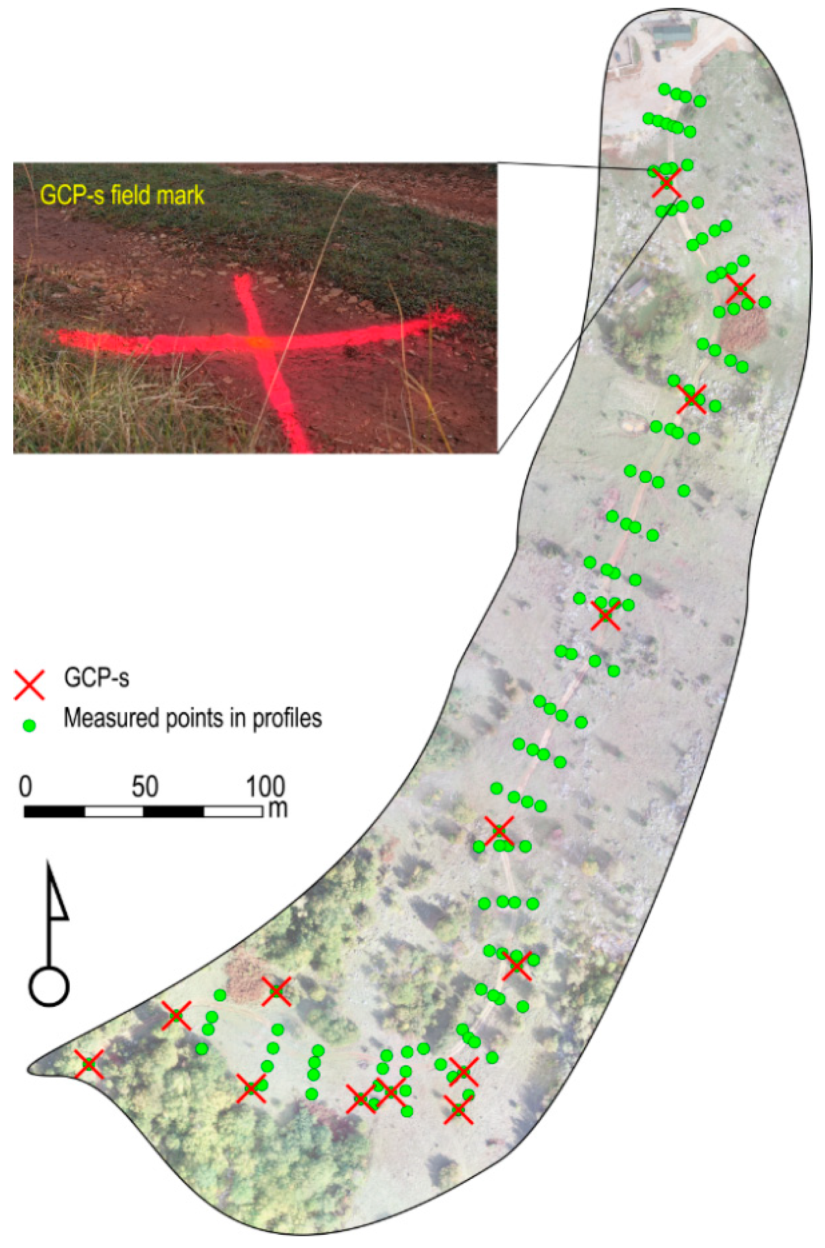 Forests 14 00751 g003