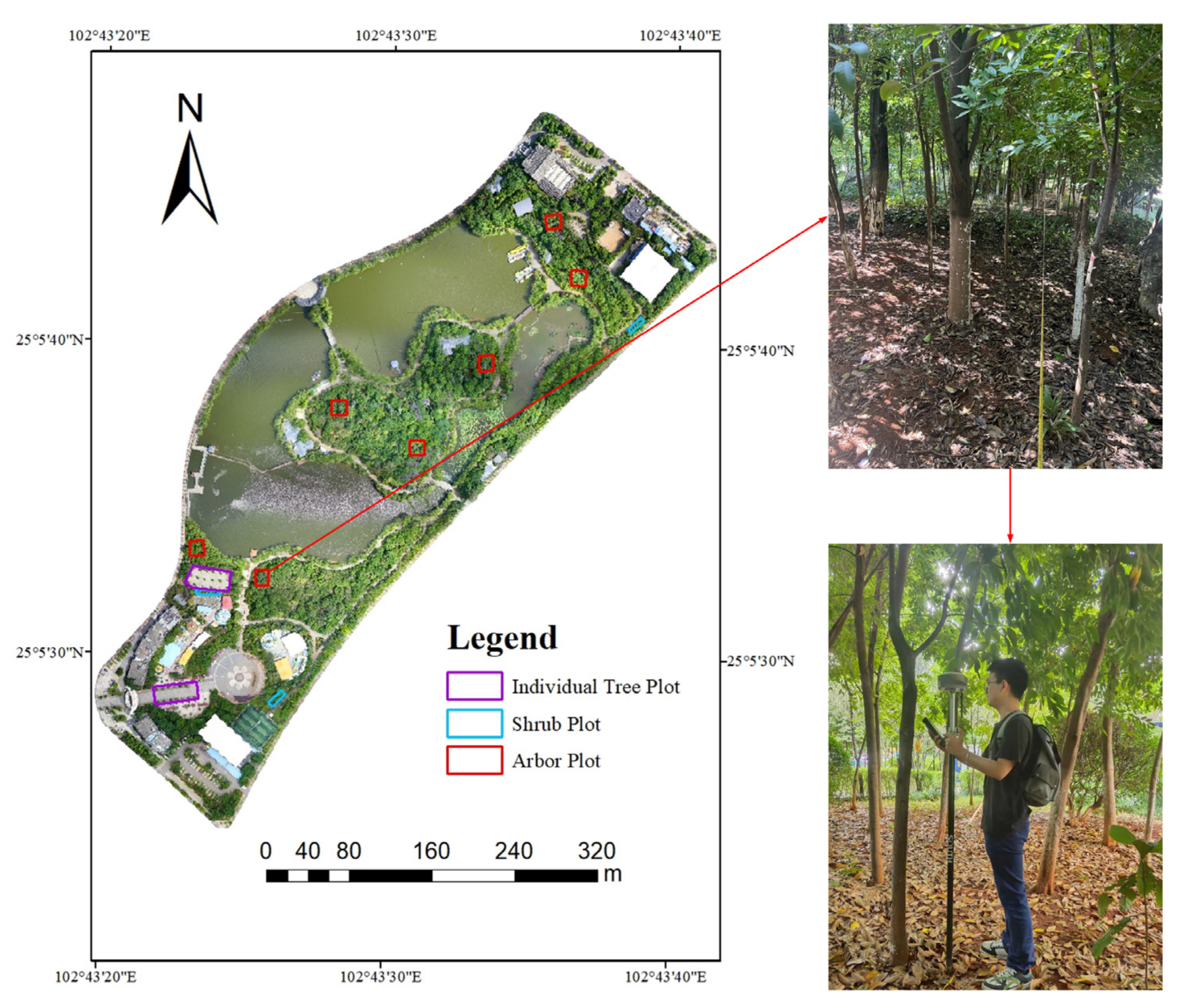 Forests 14 00752 g003