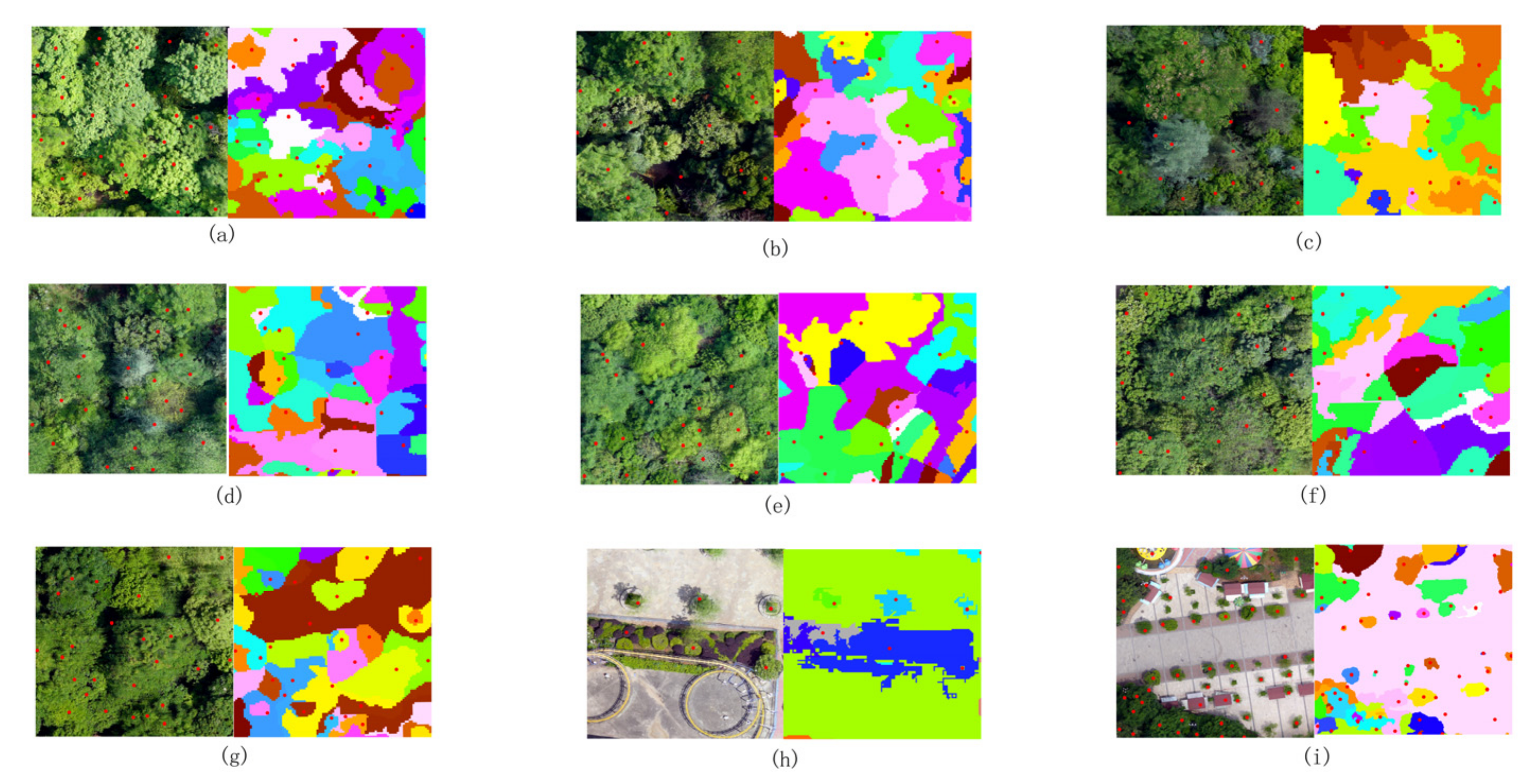 Forests 14 00752 g012