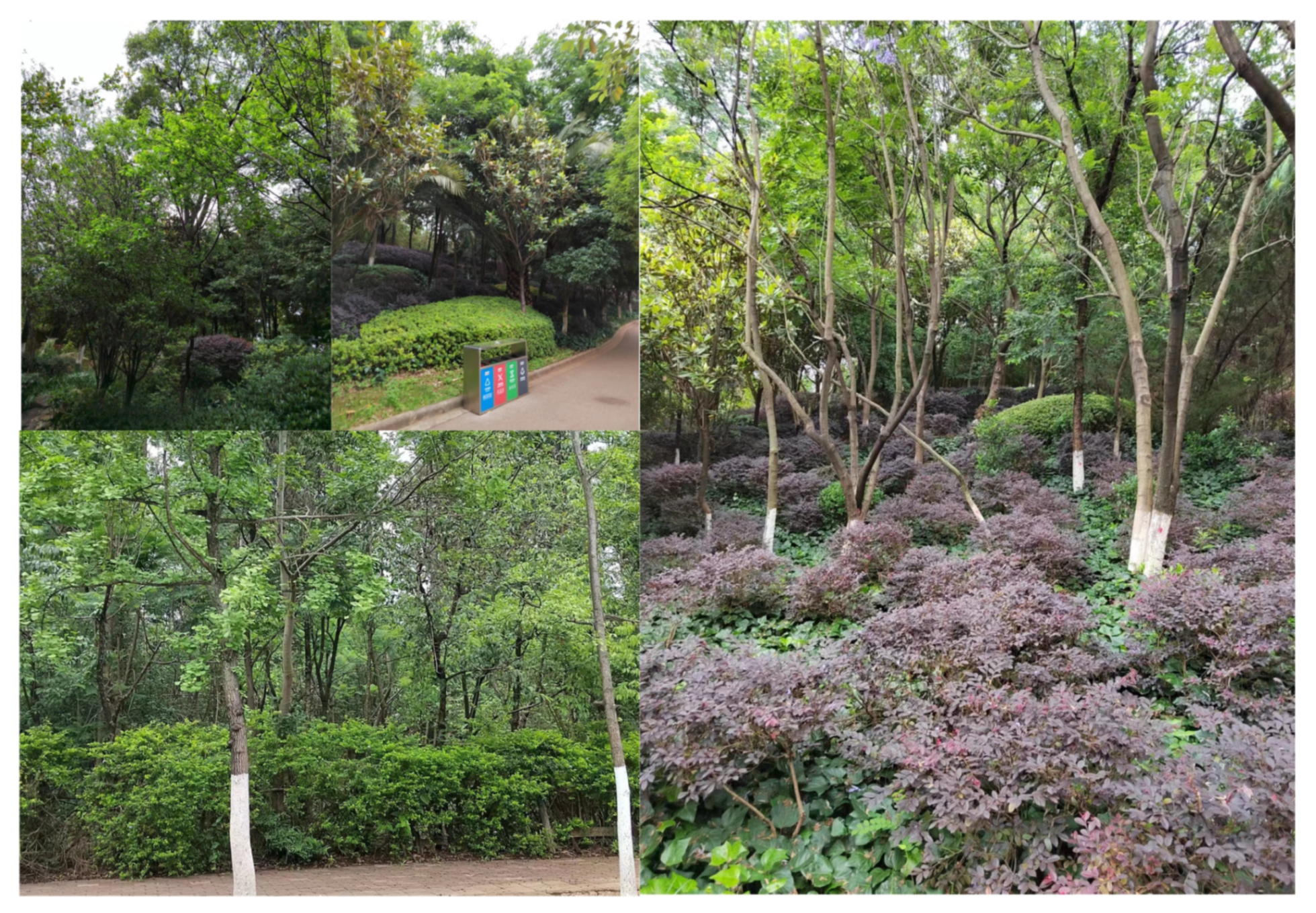 Forests 14 00752 g013