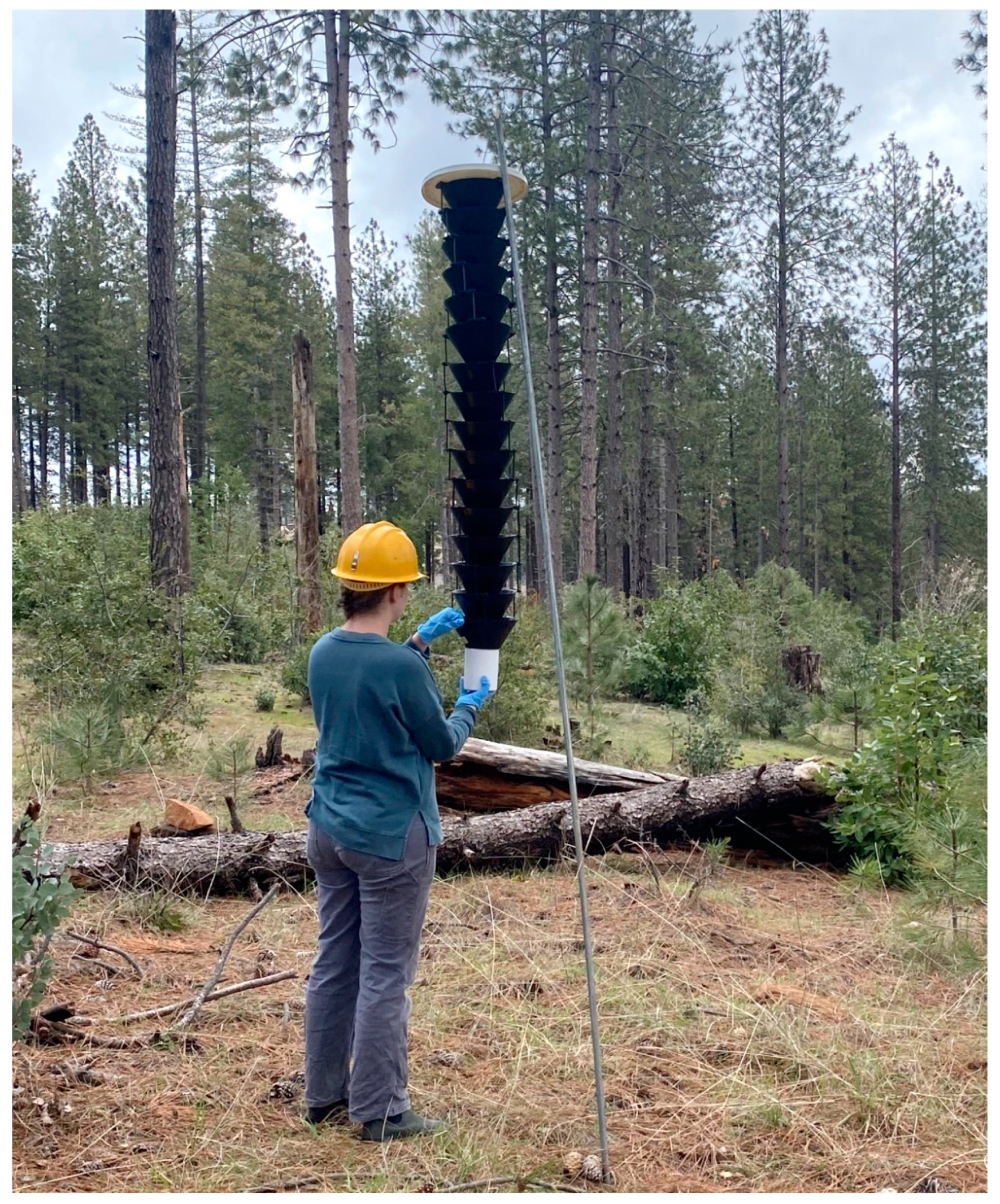 Forests 14 00757 g003 Forests 14 00757 g003