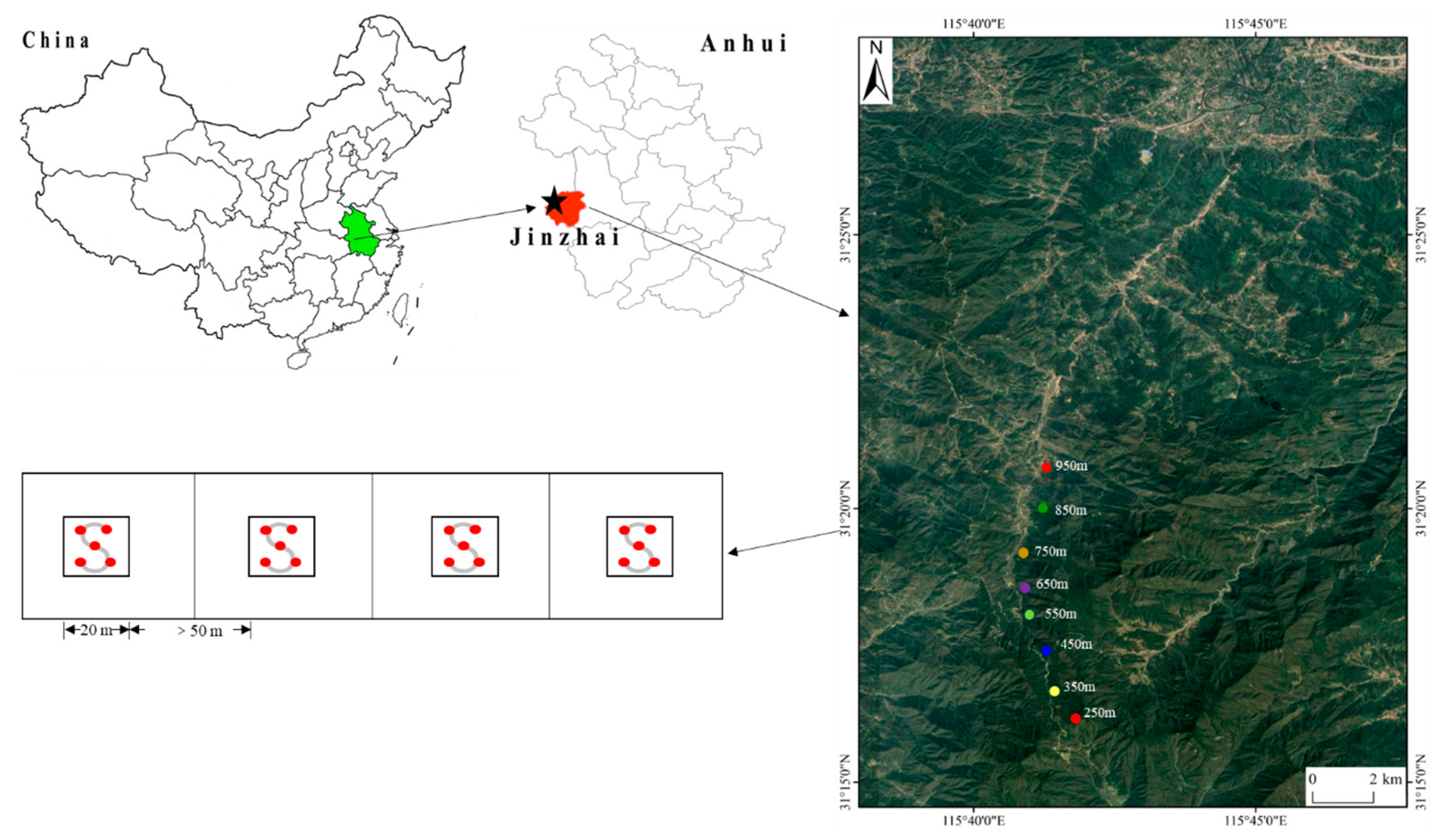 Forests 14 00774 g001 Forests 14 00774 g001