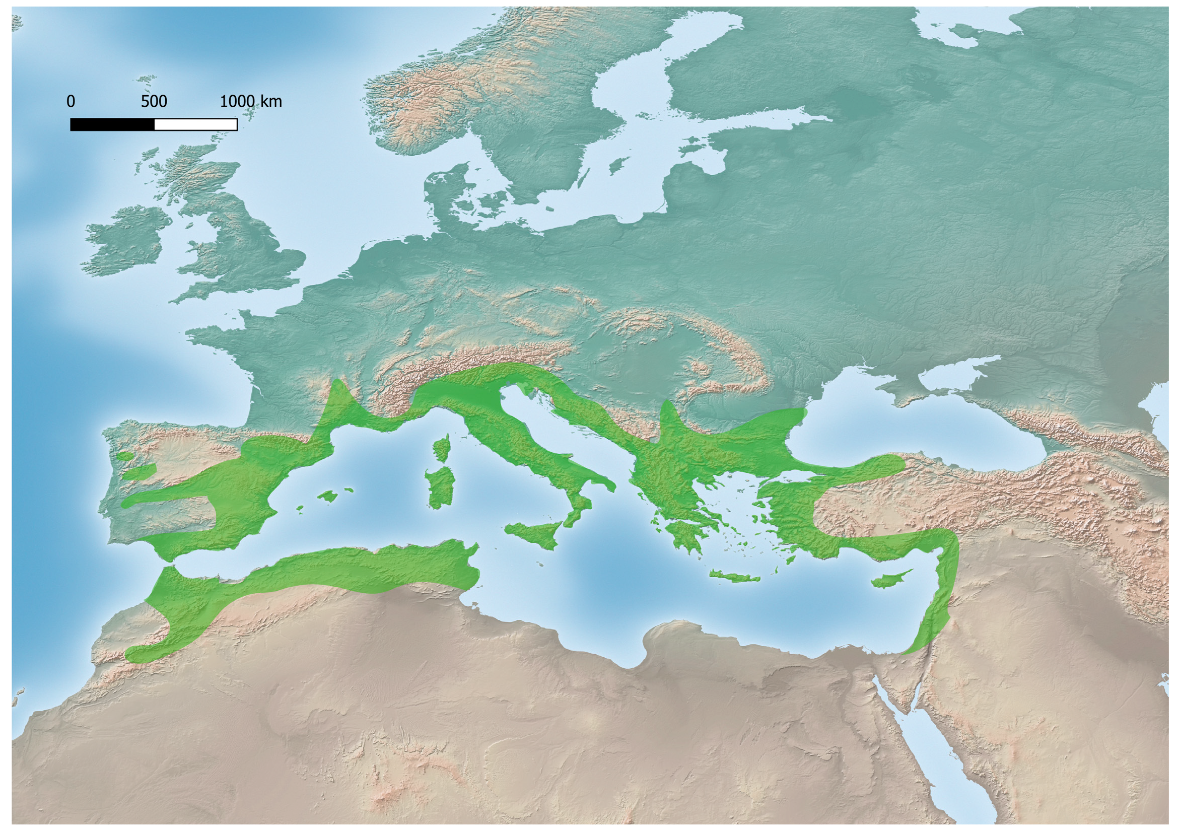 Forests 14 00779 g001