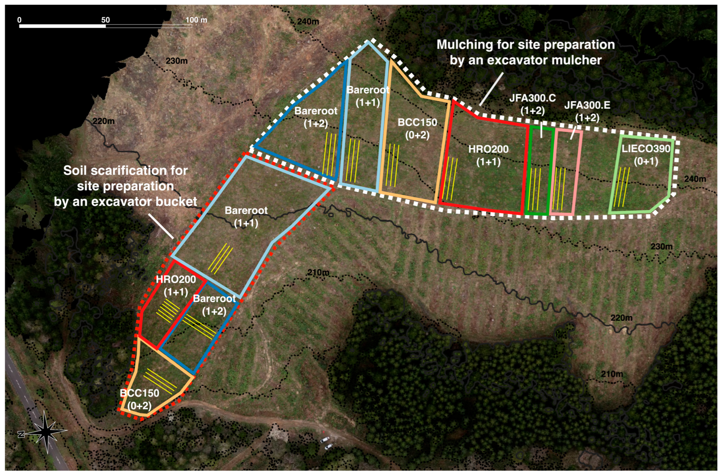 Forests 14 00784 g001