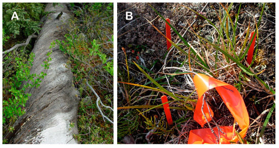 Forests 14 00787 g008