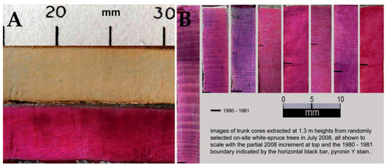 Forests 14 00787 g012