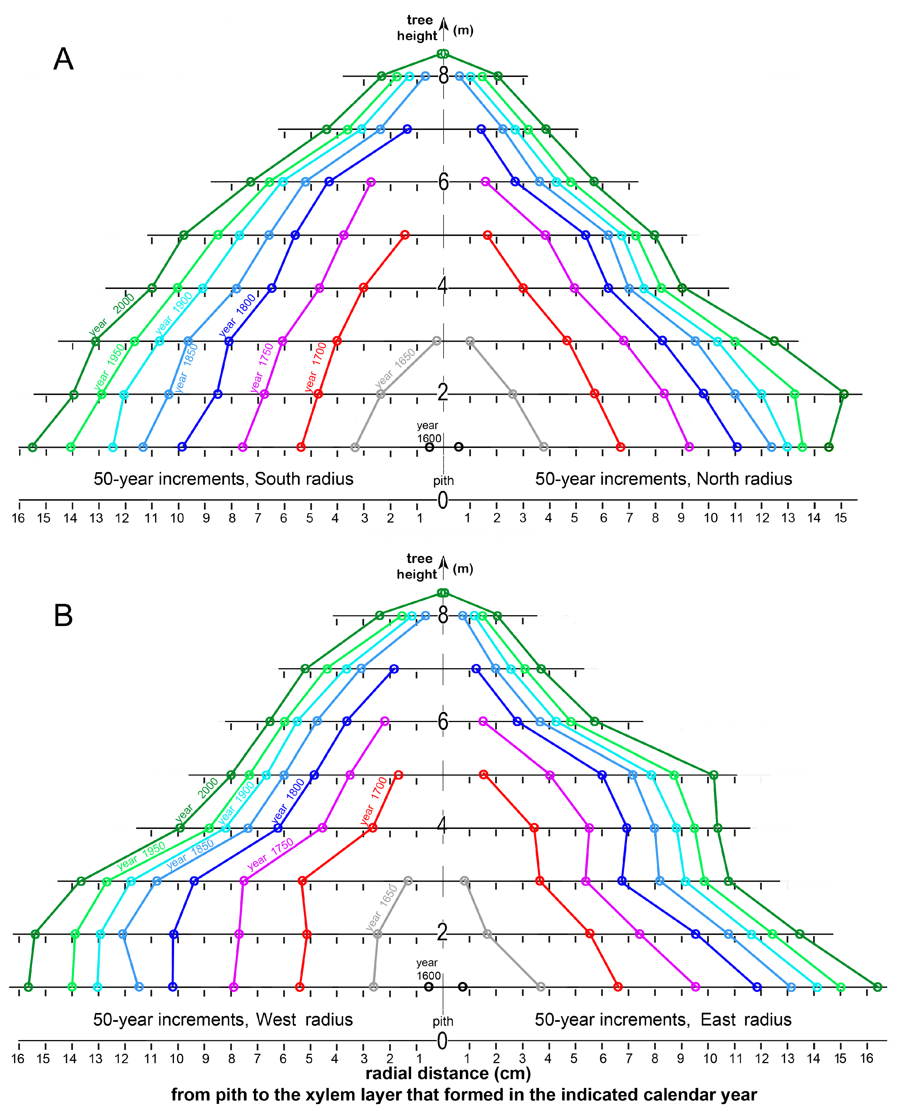 Forests 14 00787 g014