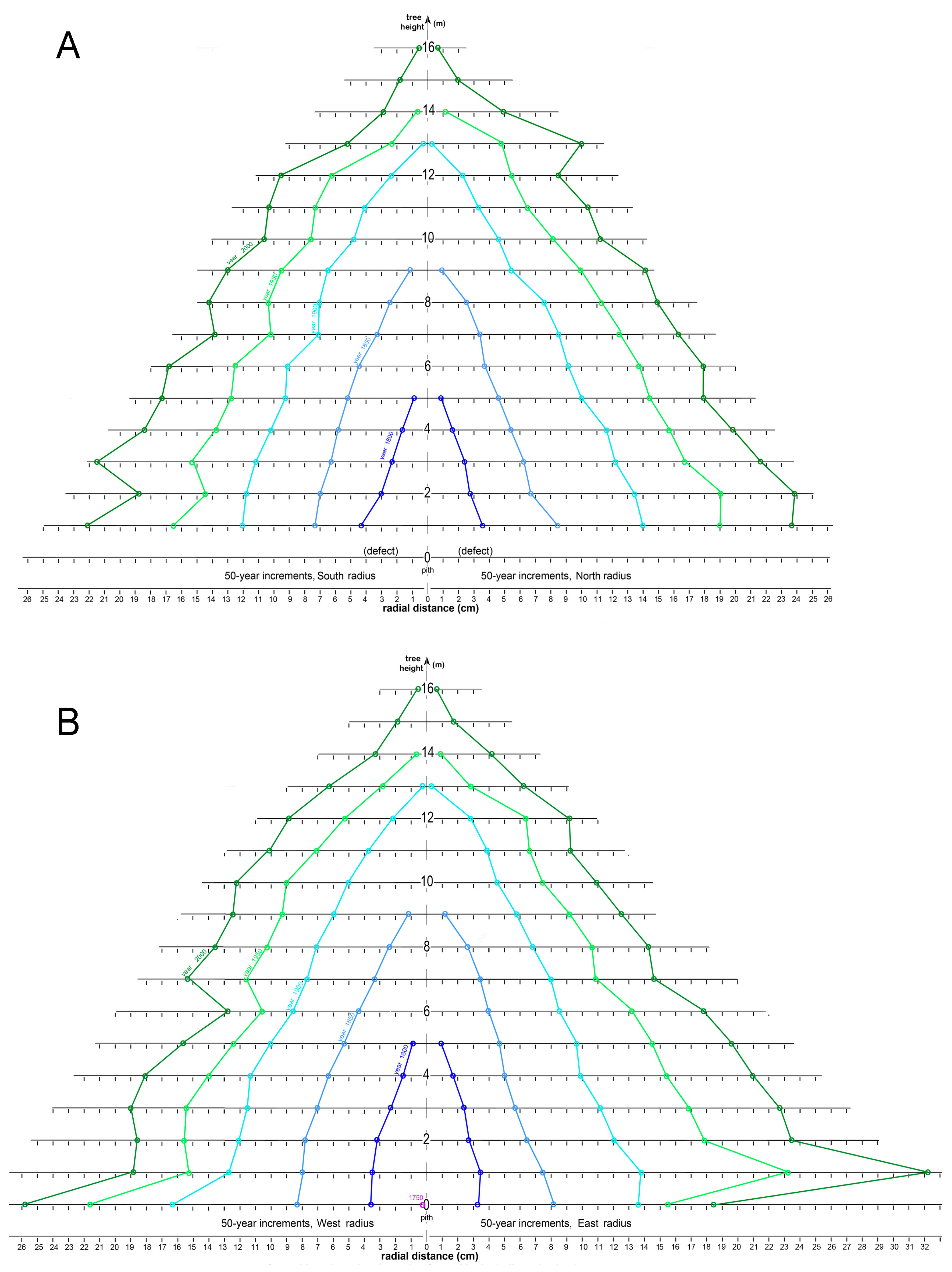 Forests 14 00787 g017